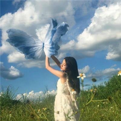 钦天奇谭